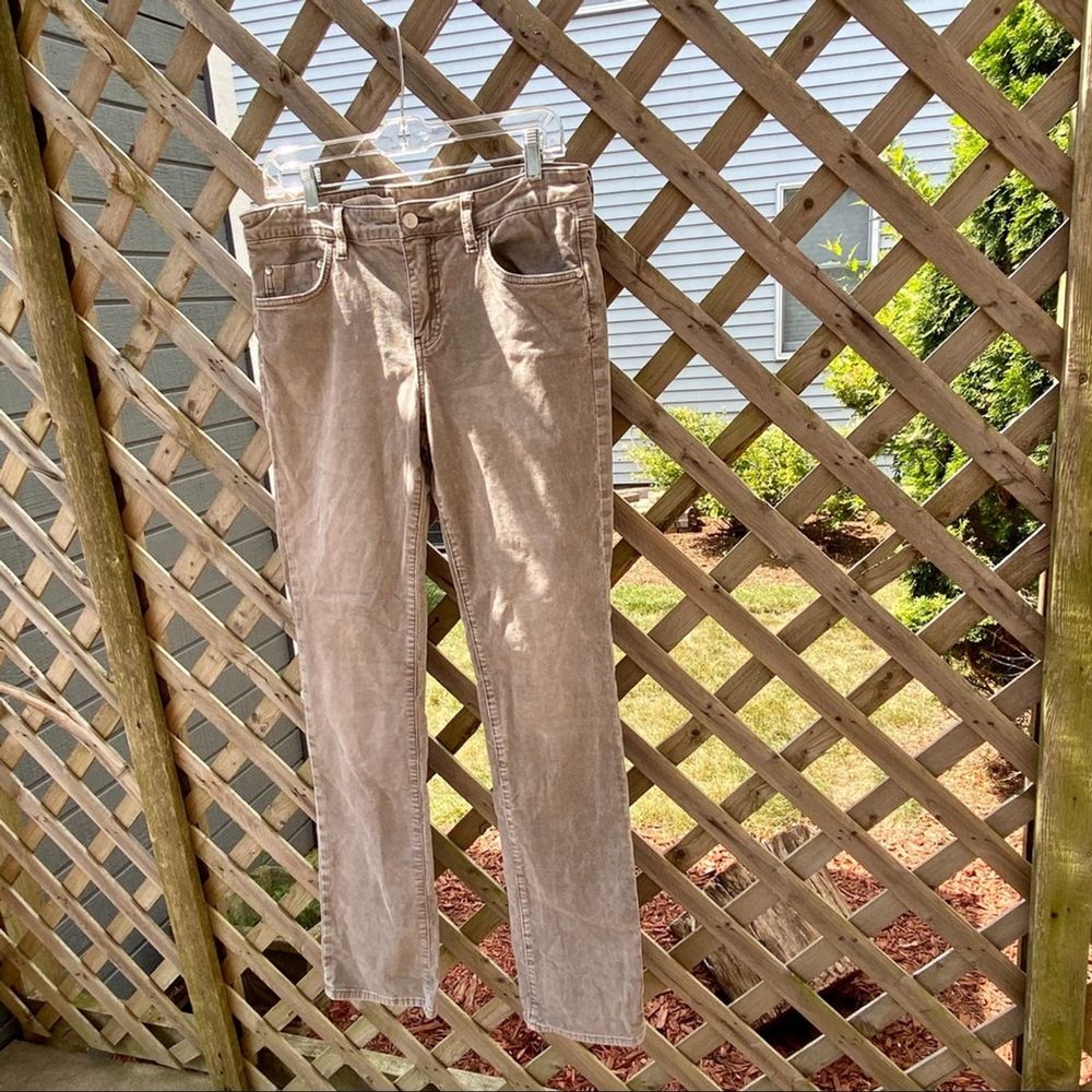 Pilcro and the Letterpress • Greige Cordoroy Pants 30 - Picture 8 of 16